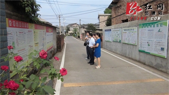 市计生协来岳塘区实地察看计生户外宣传情况