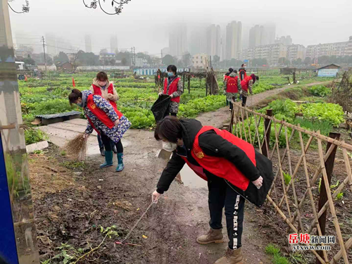 图片1_副本_副本.png